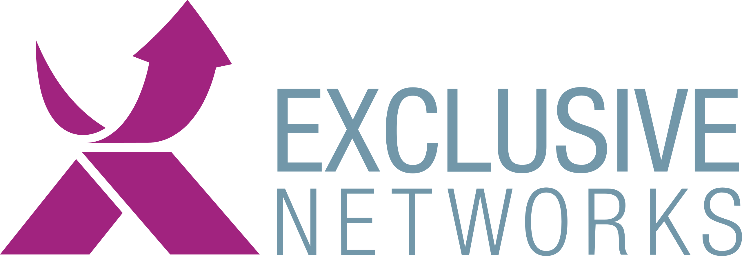 Exclusive Networks logo.svg